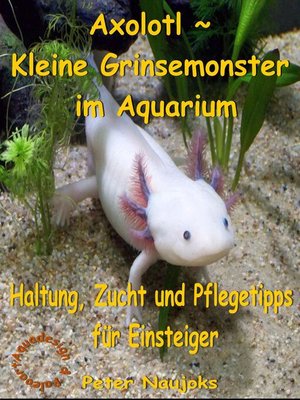 cover image of Axolotl ~ Kleine Grinsemonster im Aquarium